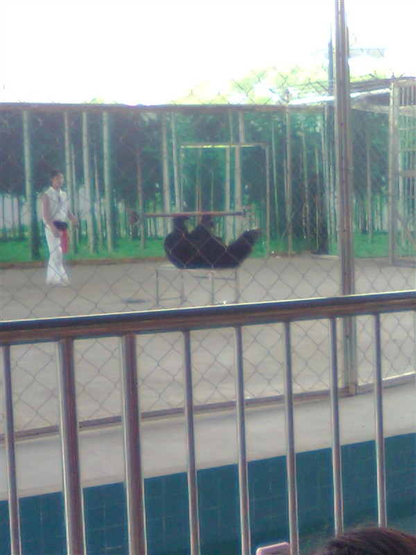 http_imgloadCA5MO5Q8