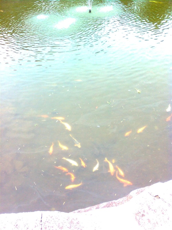 http_imgloadCAUGWDC2