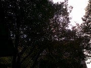 手机照片_20091204025