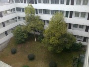 手机照片_20091212074