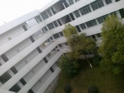 手机照片_20091212075