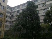 手机照片_20091227112