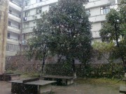 手机照片_20091227113