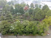 手机照片_20091227114