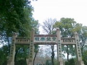 手机照片_20100212217