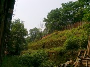 手机照片_20100523317