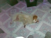 手机照片_20100703324