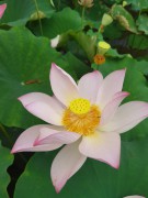 手机照片_IMG_20230618_102212