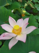 手机照片_IMG_20230618_102215