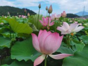 手机照片_IMG_20230618_102725