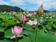 手机照片_IMG_20230618_102800