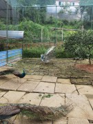 手机照片_IMG_20230624_120017