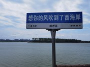 手机照片_IMG_20230708_113356