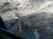 哈尔滨_IMG_20181110_103255