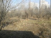 哈尔滨_IMG_20181110_103400