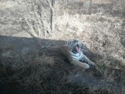 哈尔滨_IMG_20181110_103506