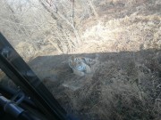 哈尔滨_IMG_20181110_103514