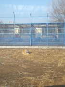 哈尔滨_IMG_20181110_103913