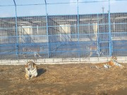 哈尔滨_IMG_20181110_103941