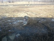 哈尔滨_IMG_20181110_104542