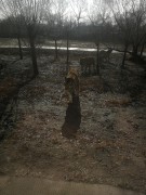 哈尔滨_IMG_20181110_105502