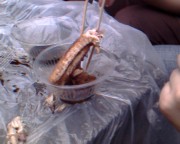 高中那些年_img0049a