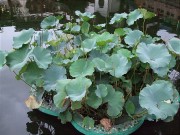 上海、南京_dscf2909