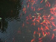 上海、南京_dscf2913