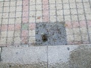 上海、南京_dscf3116