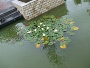 上海、南京_dscf3126