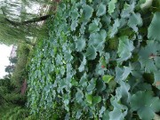 上海、南京_dscf3135