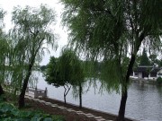 上海、南京_dscf3137