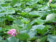 上海、南京_dscf3138