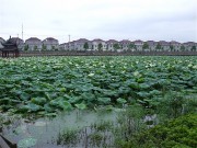 上海、南京_dscf3148