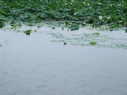 上海、南京_dscf3150