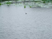 上海、南京_dscf3151