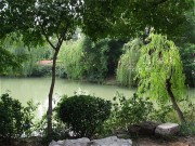 上海、南京_dscf3179