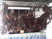 上海、南京_dscf3184