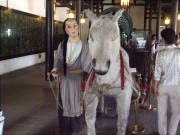 上海、南京_dscf3185