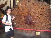 上海、南京_dscf3194