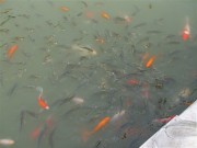 上海、南京_dscf3250