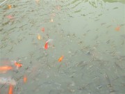 上海、南京_dscf3251