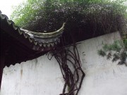 上海、南京_dscf3297