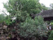 上海、南京_dscf3302