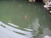 上海、南京_dscf3303