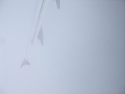 上海、南京_dscf3537