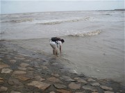 上海、南京_http_imgloabfdbfdb