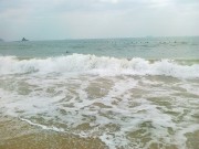 深圳实习_20101204429