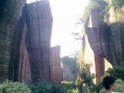 深圳实习_20101205448