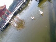 深圳实习_empty_410